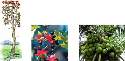 Bài 21C: Từ ngữ về sức khỏe