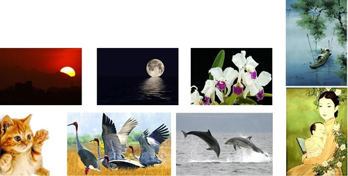 Bài 22A: Hương vị hấp dẫn