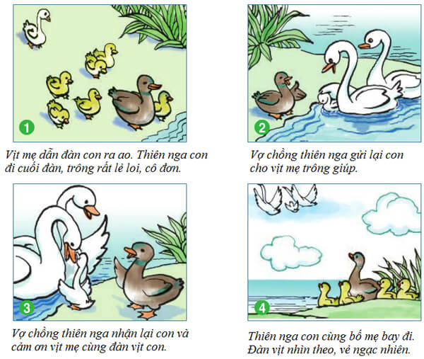 Hoạt động thực hành Bài 22B Tiếng việt lớp 4 VNEN