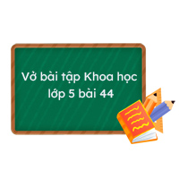 Vở bài tập Khoa học lớp 5 bài 44: Sử dụng năng lượng gió và năng lượng nước chảy