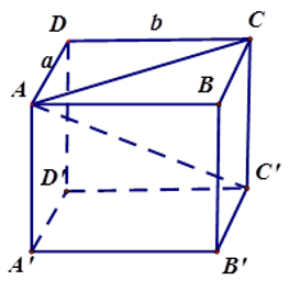 Công thức tính đường chéo hình hộp chữ nhật
