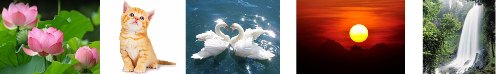 Bài 22C: Từ ngữ về cái đẹp