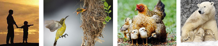 Bài 23B: Những trái tim yêu thương