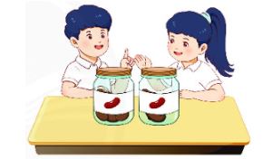 Bài 10 (trang 112 SGK Toán 2 tập 1)