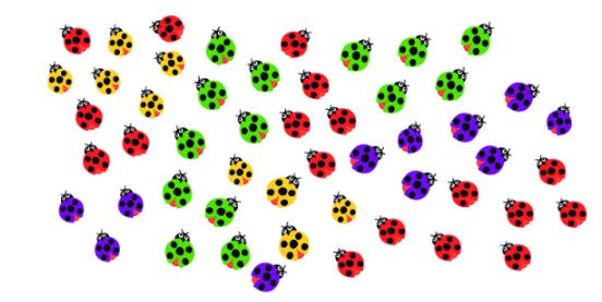 Câu 12 (trang 124 SGK Toán 2 tập 1)