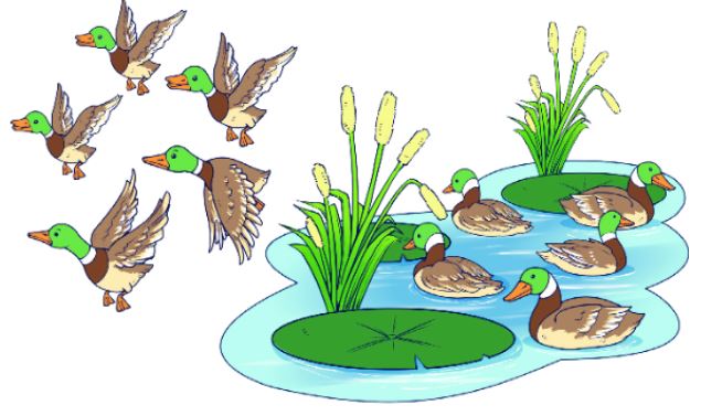 Vui học (trang 15 SGK Toán 2 tập 2)