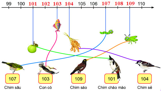 Bài 2 (trang 43 SGK Toán 2 tập 2)
