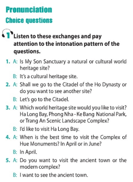 Language Unit 8 lớp 11