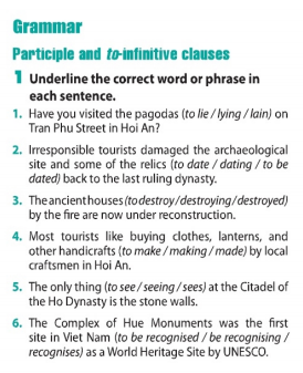 Language Unit 8 lớp 11