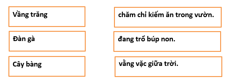Đề thi giữa học kì 2 môn Tiếng Việt lớp 1 sách Kết nối tri thức