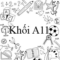 Khối A11 gồm những môn nào?