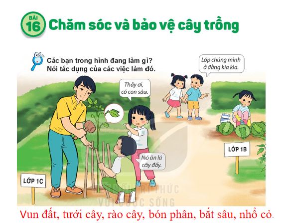 Sản phẩm cuối khóa module 9 môn Tự nhiên xã hội