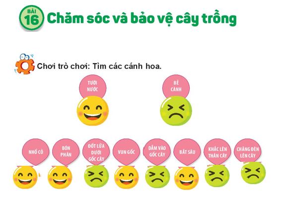 Sản phẩm cuối khóa module 9 môn Tự nhiên xã hội