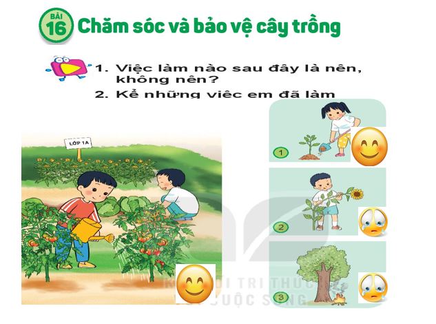 Sản phẩm cuối khóa module 9 môn Tự nhiên xã hội