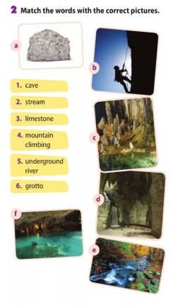 Unit 8 lớp 11 Listening