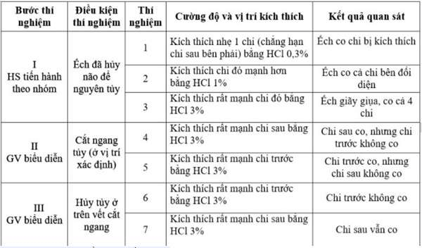 thực hành tìm hiểu tủy sống