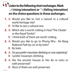 Unit 8 lớp 11 Looking back