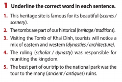 Unit 8 lớp 11 Looking back