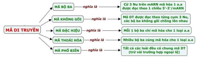 Bản chất của mã di truyền