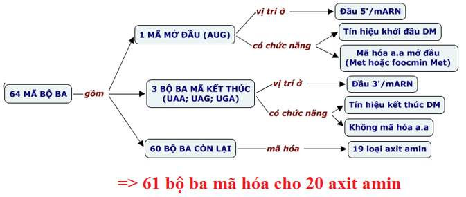 Bản chất của mã di truyền