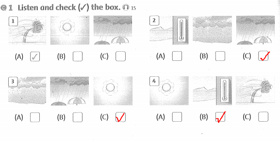 Family and Friends 3 Workbook Unit 8 Lesson 3
