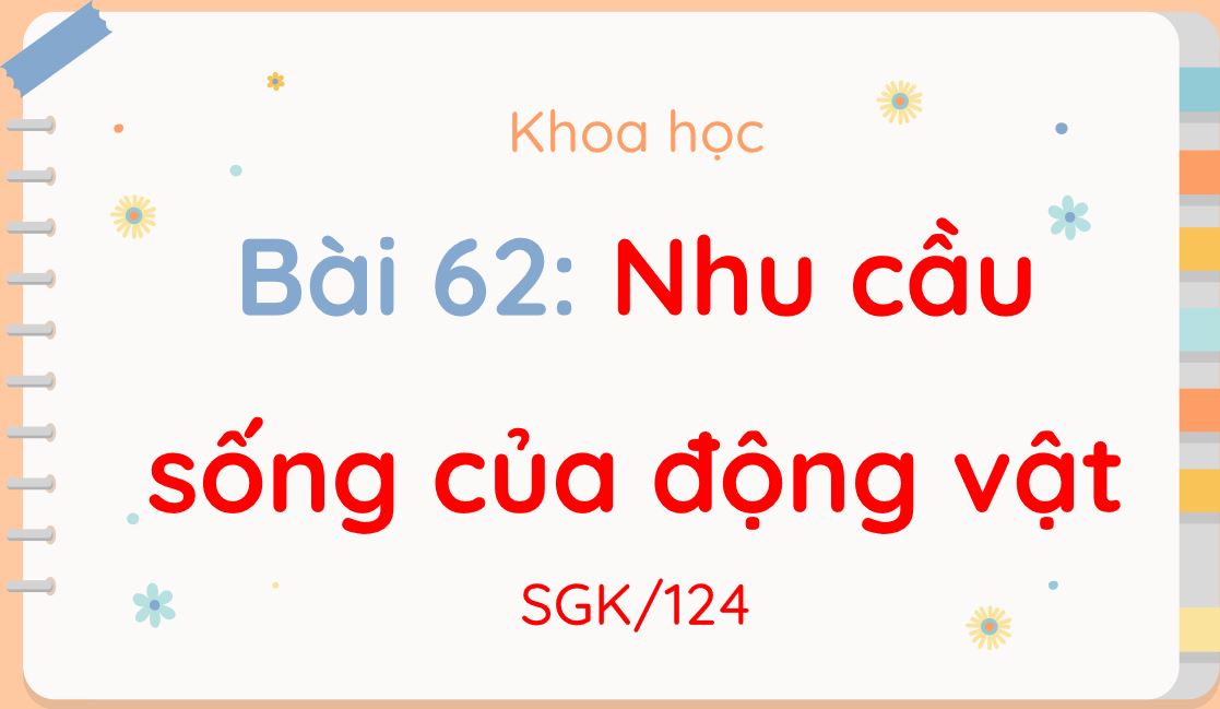 Bài tập cuối khóa Module 9