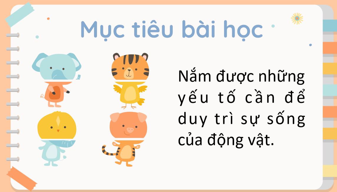 Bài tập cuối khóa Module 9
