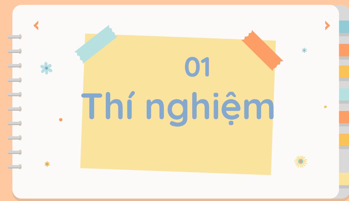 Bài tập cuối khóa Module 9