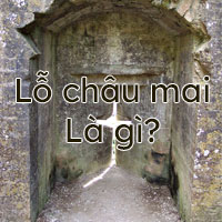 Lỗ châu mai là gì?