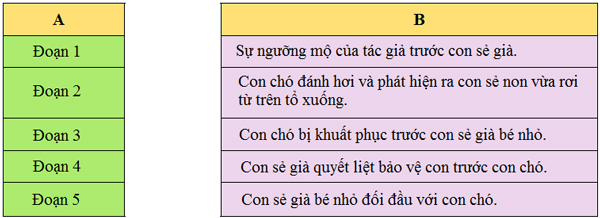 Bài 27B: Sức mạnh của tình mẫu tử