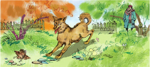 Bài 27B: Sức mạnh của tình mẫu tử