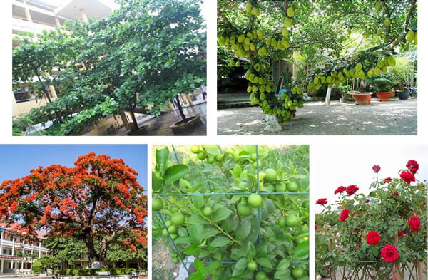 Bài 27C: Nói điều em mong muốn