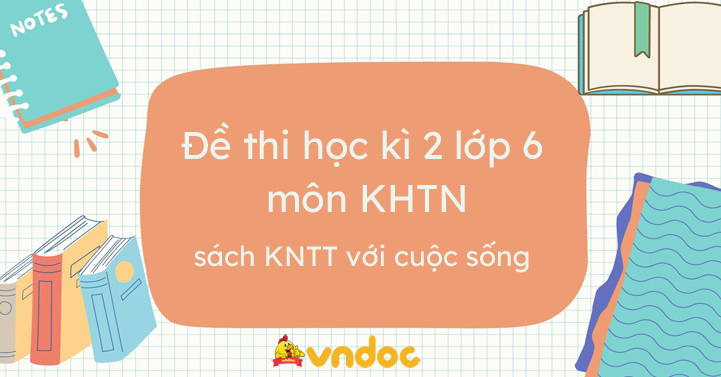 Top 12 Đề thi học kì 2 KHTN 6 Kết nối tri thức Có đáp án