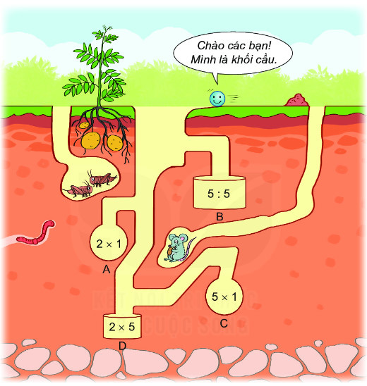 Bài 3 (trang 36 SGK Toán 2 tập 2) KNTT