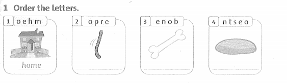 Family and Friends 3 Workbook Unit 9 Lesson 4