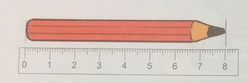 Đề thi Toán lớp 1 học kỳ 2 Kết nối tri thức