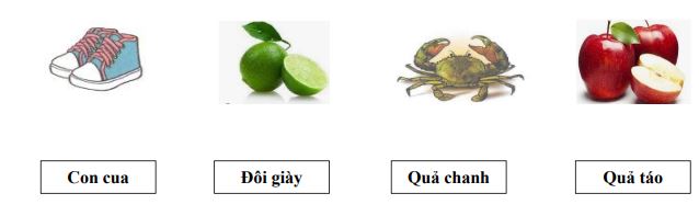 Đề kiểm tra học kì 2 lớp 1 có đáp án và ma trận