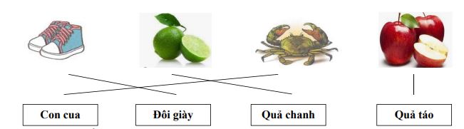 Đề thi học kì 2 lớp 1 môn Tiếng Việt sách Kết nối