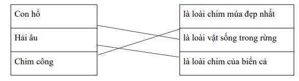 Đề thi học kì 2 lớp 1 môn Tiếng Việt sách Kết nối