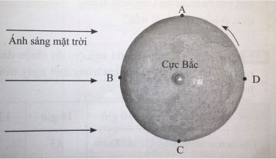 Đề thi học kì 2 lớp 6 KHTN sách Cánh Diều