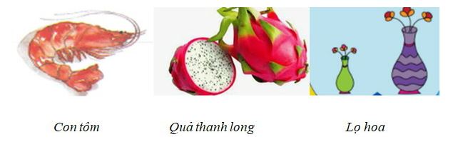 Đề thi học kì 2 lớp 1 môn Tiếng Việt Số 3