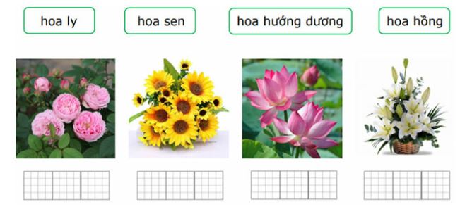 Đề thi học kì 2 môn Tiếng Việt lớp 1 sách Chân trời
