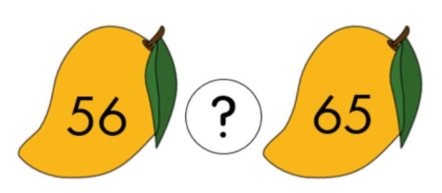 Đề thi học kì 2 môn Toán lớp 1 sách Vì sự bình đẳng