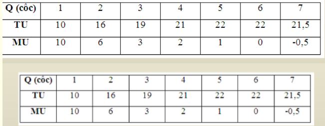 Câu hỏi ôn thi môn Kinh tế vi mô - Chương 4