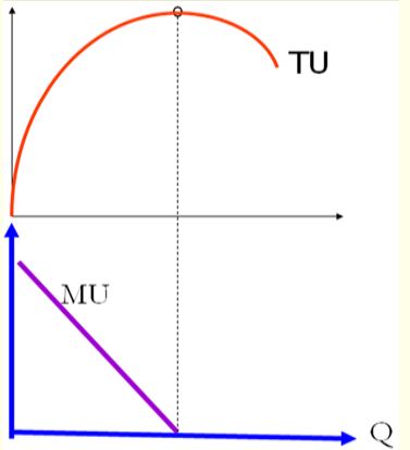 Câu hỏi ôn thi môn Kinh tế vi mô - Chương 4