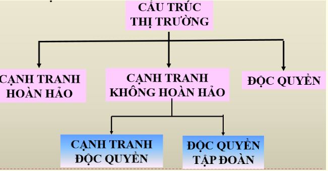 Câu hỏi ôn thi môn Kinh tế vi mô - Chương 6