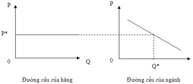 Câu hỏi ôn thi môn Kinh tế vi mô - Chương 6