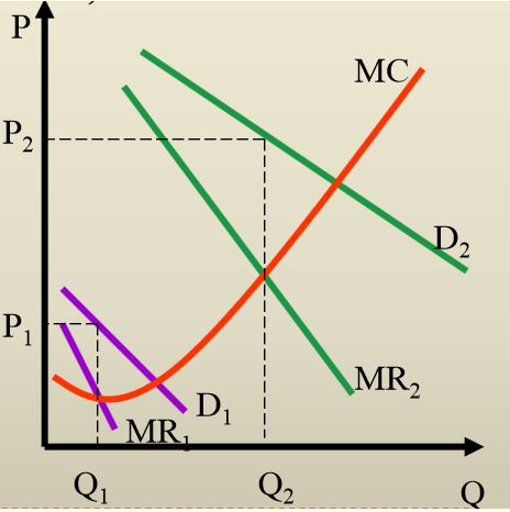 Câu hỏi ôn thi môn Kinh tế vi mô - Chương 6