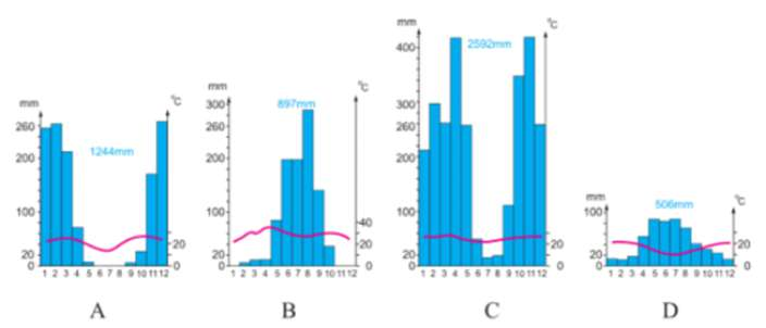 Biểu đồ lượng mưa