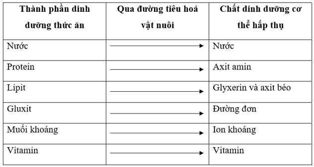 bảng tóm tắt về thức ăn